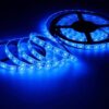 2835 Mavi İç Mekan Şerit Led - Image 2